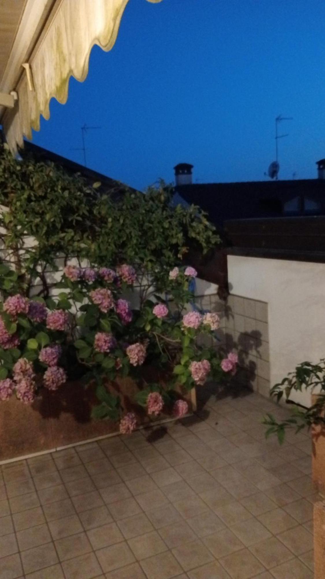 Attico Di Marisa Apartamento Codroipo Exterior foto